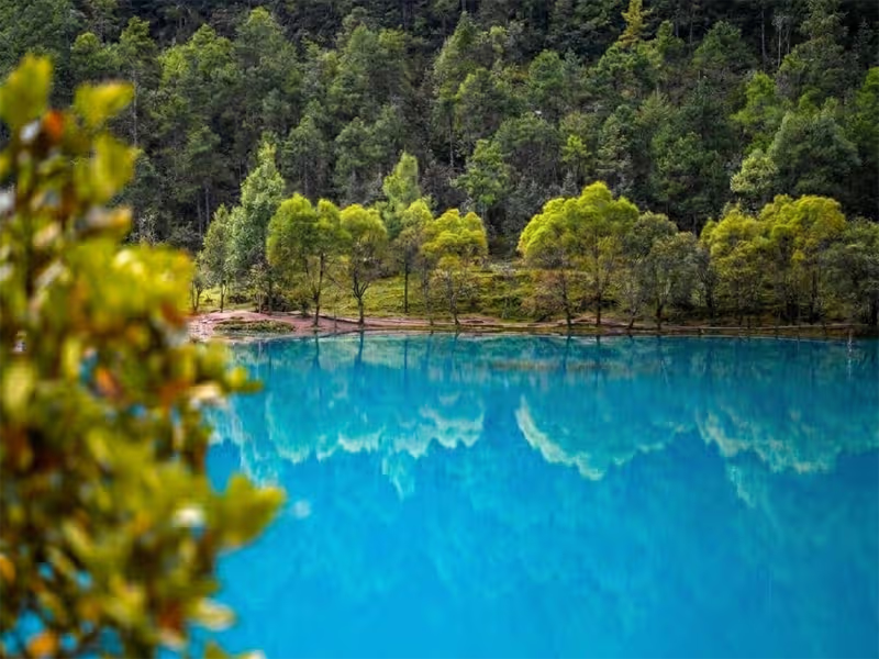 Recovery & China Experience 1 Serene recovery landscape in China