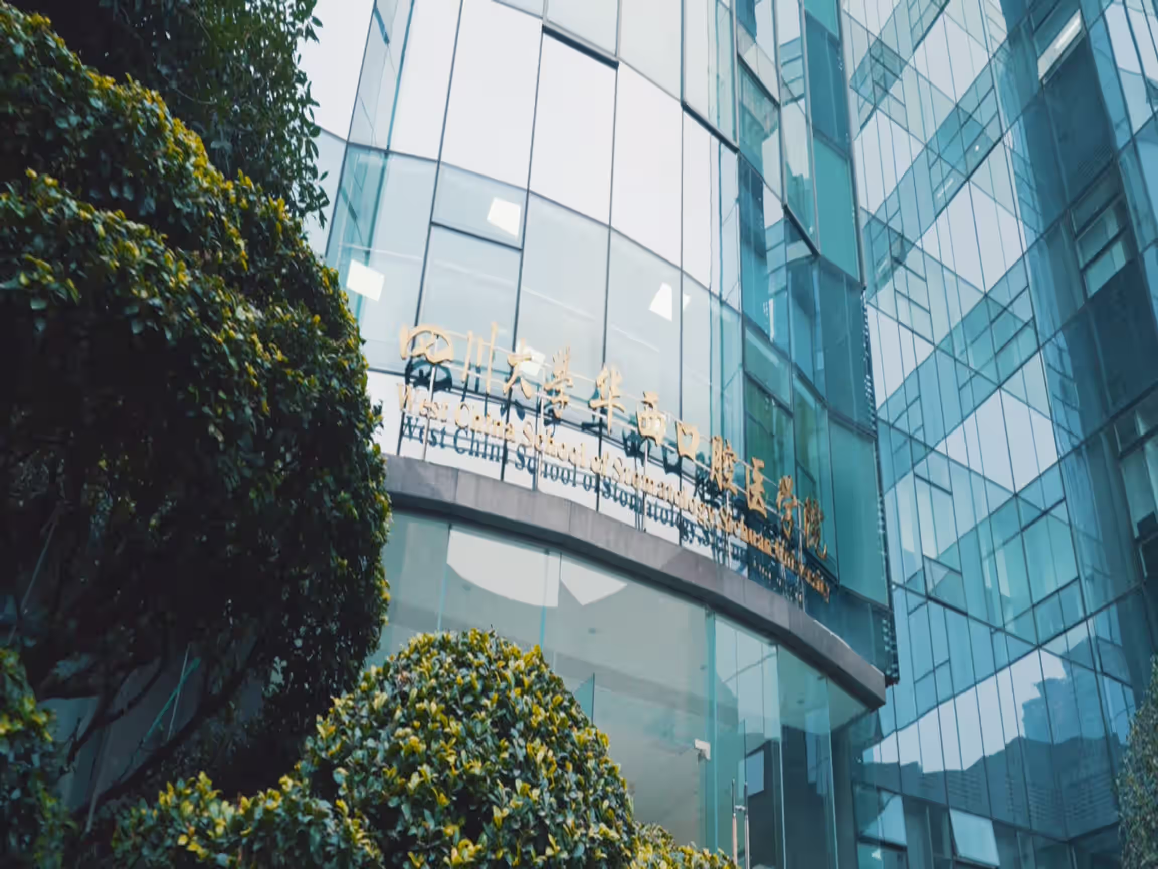 West China Hospital of Stomatology, Sichuan University 3 West China Hospital of Stomatology Clinic